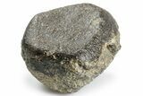 Unclassified Eucrite Meteorite ( g) - From Vesta #263812-2